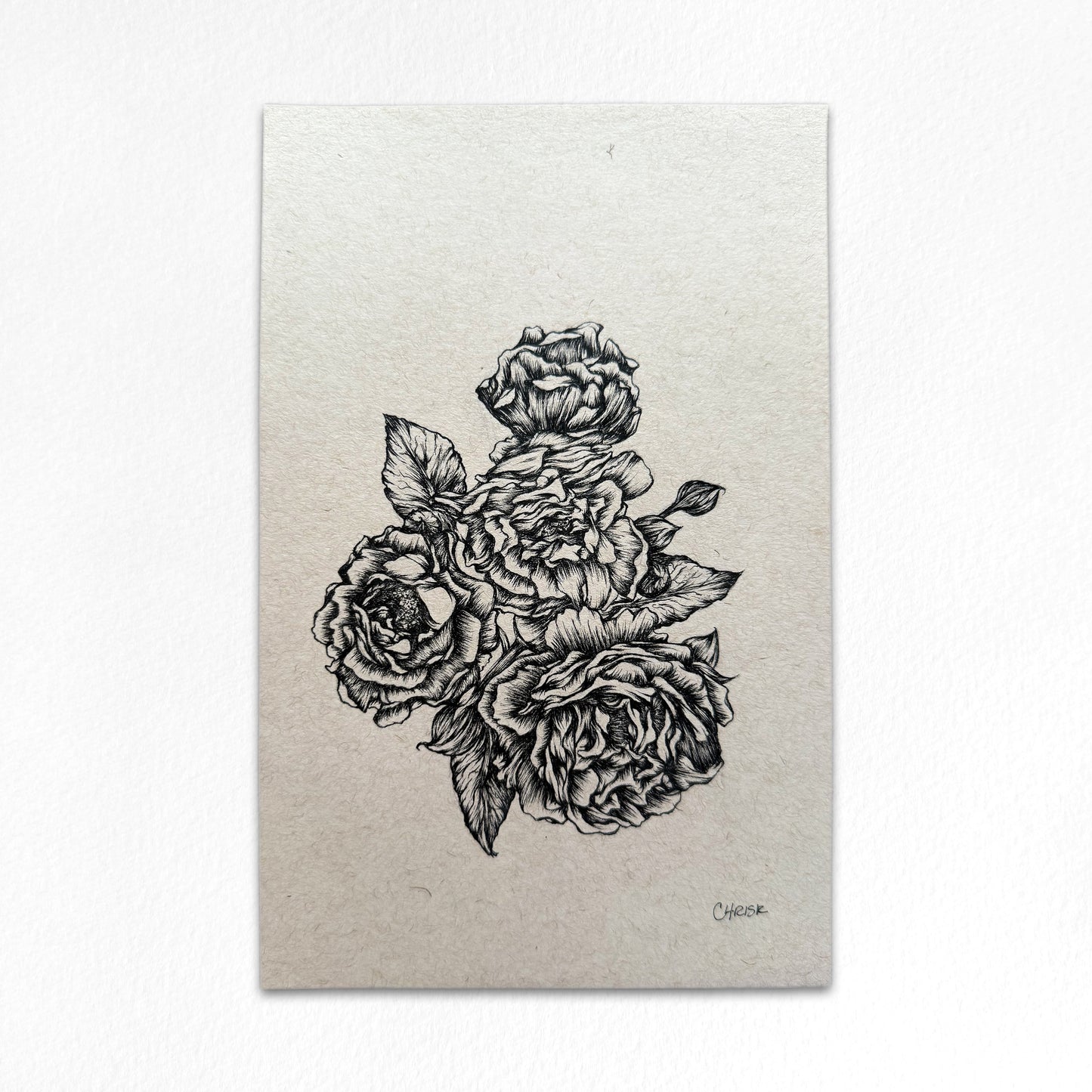 Ink Originals 35 "blooming roses study"
