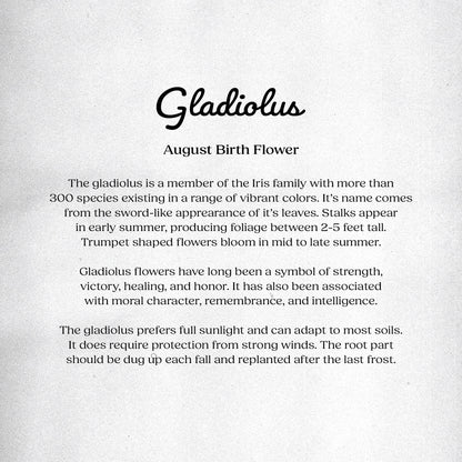 Gladiolus (August) - Birth Flower Card 5x7