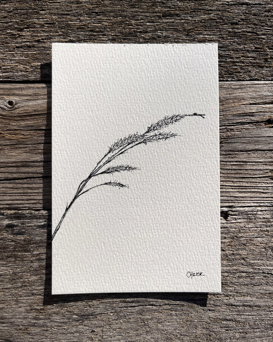 Ink Originals 30 "prairie gusts"