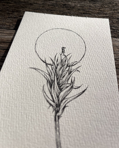 Ink Originals 26 "high ground"