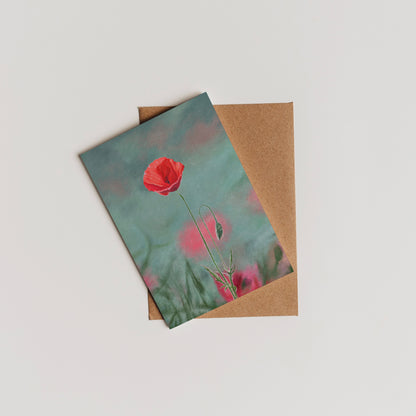 Poppy (August) - Birth Flower Card 5x7