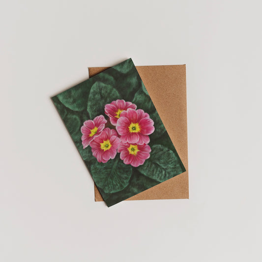 Primrose (February) - Birth Flower Card 5x7