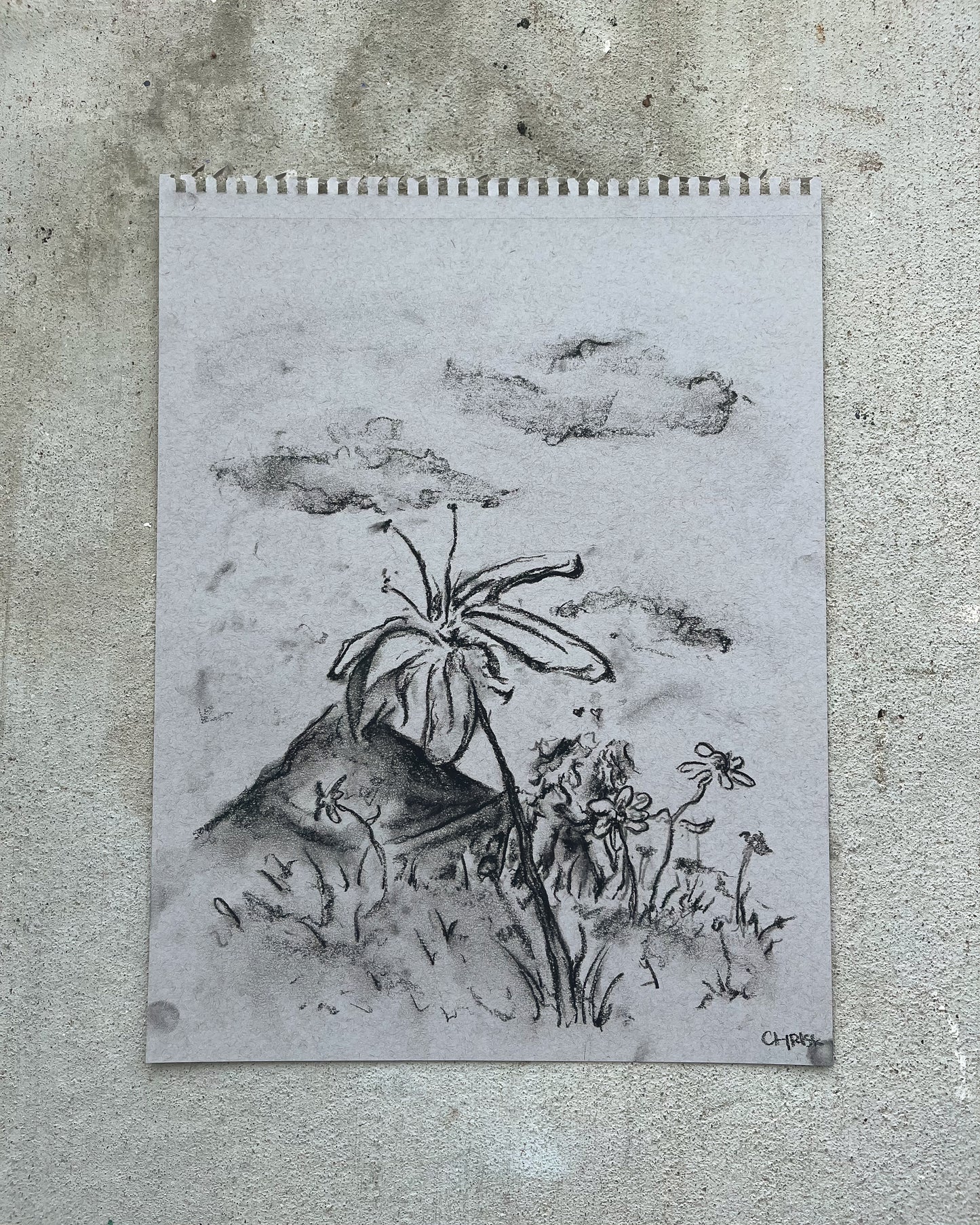 Earth Day Charcoal 02 "the meadow blooms"